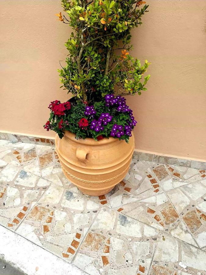Joy New Port Studio Corfu Town Buitenkant foto